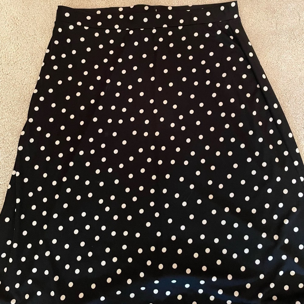 Kaspar skirt worn one time